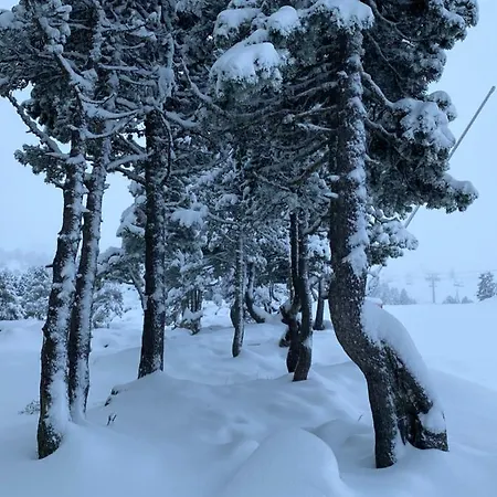 Appartement Flor De Montanhas - 4pers - *