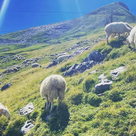 Appartement Flor De Montanhas - 4pers -