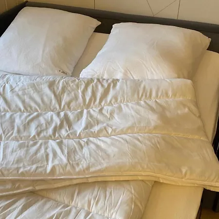 Flor De Montanhas - 4pers - Arette