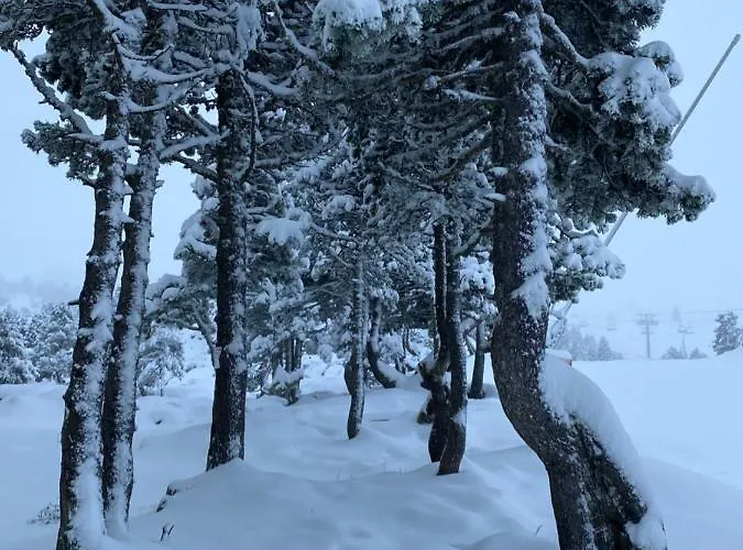 شقة Flor De Montanhas - 4pers - *